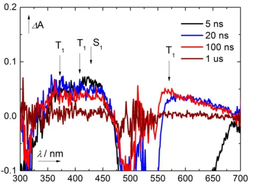 Figure S-2-5.  Transient  absorption  spectra  of  eosin  Y  (c  =  1  ×  10 –5   M  in  EtOH,  non-degassed,  excitation wavelength 532 nm) measured at different times after excitation