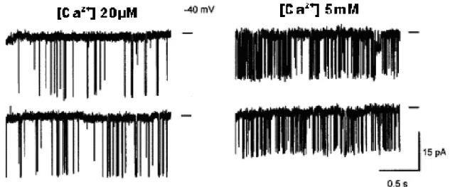 Abbildung  1-4.  Diese  Abbildung  zeigt  die  Auswirkung  einer  luminalen  Kalziumkonzentrationserhöhung  auf  das  Öffnungsverhalten  des  RyR