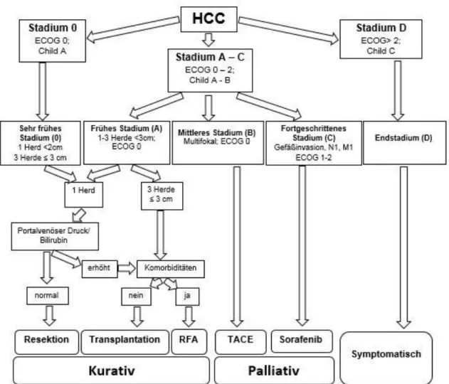 Abbildung 1 BCLC-Klassifikation und Therapieverfahren, modifiziert nach (15) 