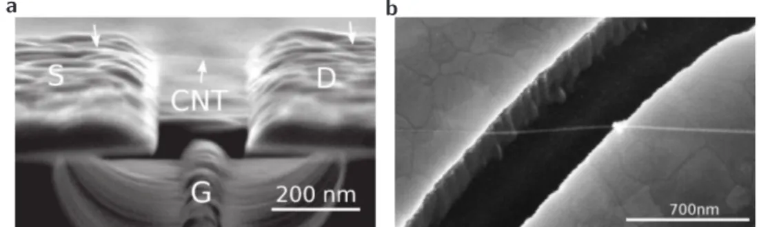 Figure 1.7: Scanning electron microscopy images of ultra-clean, suspended CNT-QD devices