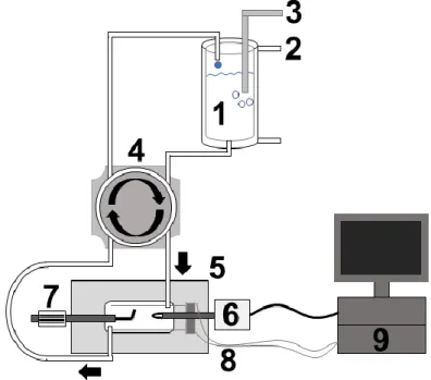 Abbildung 13: Messanlage für Kontraktilitätsexperimente. Die Experimentierlösung befindet  sich in einem Zylinder (1) und wird in diesem durch ein angeschlossenes Wasserbad (2) erwärmt  und mit Carbogen (3) begast