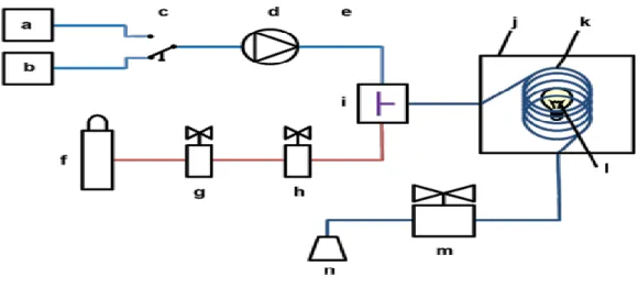 Figure 3.5: Schematic representation of Micro(flow)reaction (gas-liquid phase) setup. 