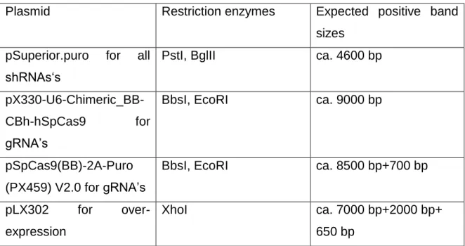 Table 20 Restriction digestion enzymes and band patterns for each plasmid 