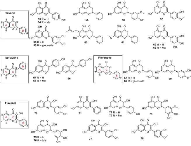 Figure 1-9 Flavonoids 