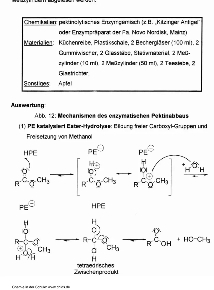Abb. 12: Mechanismen des enzymatischen Pektinabbaus