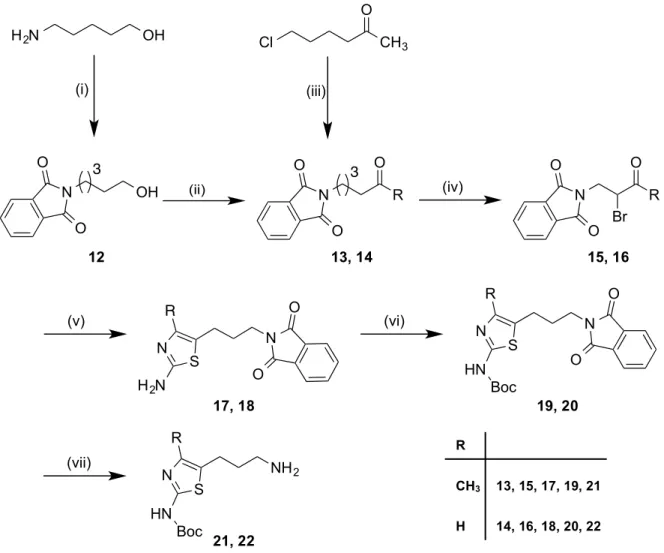 Abb.  3.3.  Synthese  der Aminothiazolylpropylguanidine.  Reagenzien und Bedingungen: (i) Phthalsäureanhydrid  (1 eq),  DMF,  3 h,  80-100 °C;  (ii)  (COCl) 2   (1,25 eq),  DMSO  (2,65 eq),  NEt 3   (5,5 eq),  DCM,  -50 °C,  45 min;  (iii)  Phthalimid  (0,
