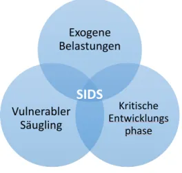 Abbildung 3: Das triple-risk Modell für SIDS, modifiziert nach Filiano und Kinney, 1994  (Quelle: 17) 