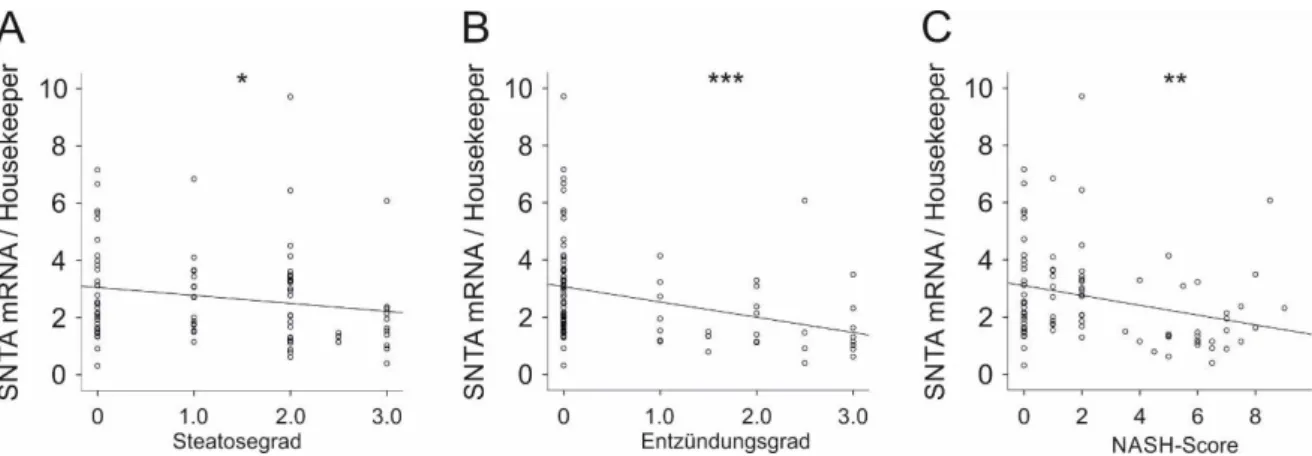 Abbildung 9: Hepatische SNTA-mRNA-Expression in der NAFLD-Kohorte in Bezug auf Parameter der  NASH  unter  Ausschluss  von  Typ-2-Diabetes-Patienten