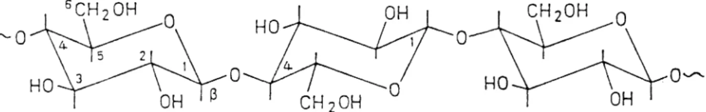 Abb. 3: Cellulosemolekül