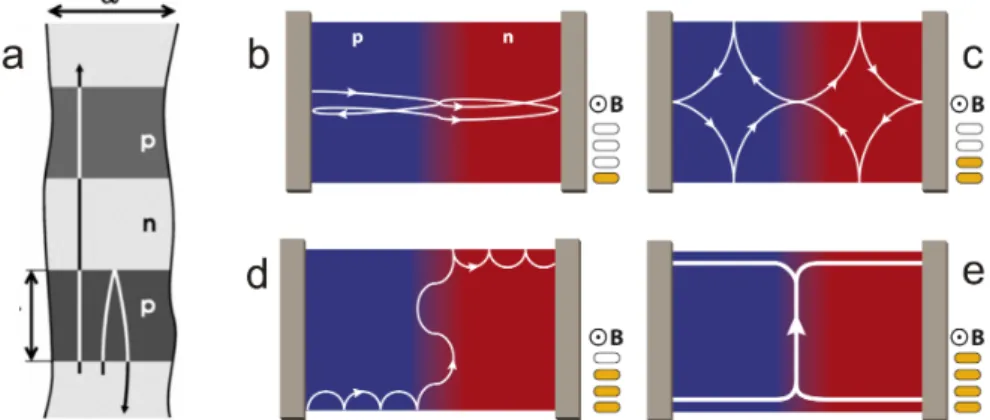 Figure 2.13: pn-junctions in the presence of a magnetic field. (a) Electron trajectories in a pnp-junction: the left one (transmitted) in zero B and the right one (reflected) in small non-zero B