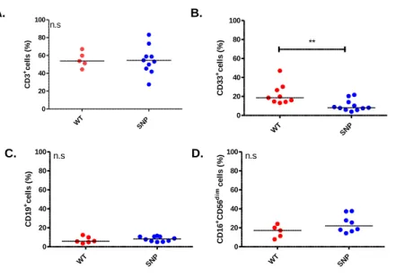 Figure 5.1. Impact of NOD2 SNP mutations on the blood composition of healthy donors. Percentage of  CD3 +   T  cells  (A),  CD33 +  myeloid  cells  (B),  CD19 +  B cells  (C)  and  CD16 + CD56 dim  NK cells  (D)  among  living  DAPI -  leukocytes