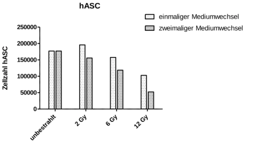 Abbildung  9: Zellzahl  von  hASC  48h  nach  Bestrahlung  mit  2  Gy,  6  Gy  und  12  Gy  im  Vergleich  zur  unbestrahlten Kontrolle bei einmaligem (weiß) und zweimaligem (blaugrau) Mediumwechsel