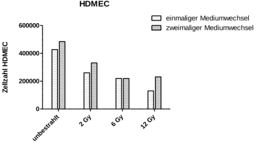 Abbildung  10:  Zellzahl  von  HDMEC  48h  nach  Bestrahlung  mit  2  Gy,  6  Gy  und  12  Gy  im  Vergleich  zur  unbestrahlten Kontrolle bei einmaligem (weiß) und zweimaligem (blaugrau) Mediumwechsel
