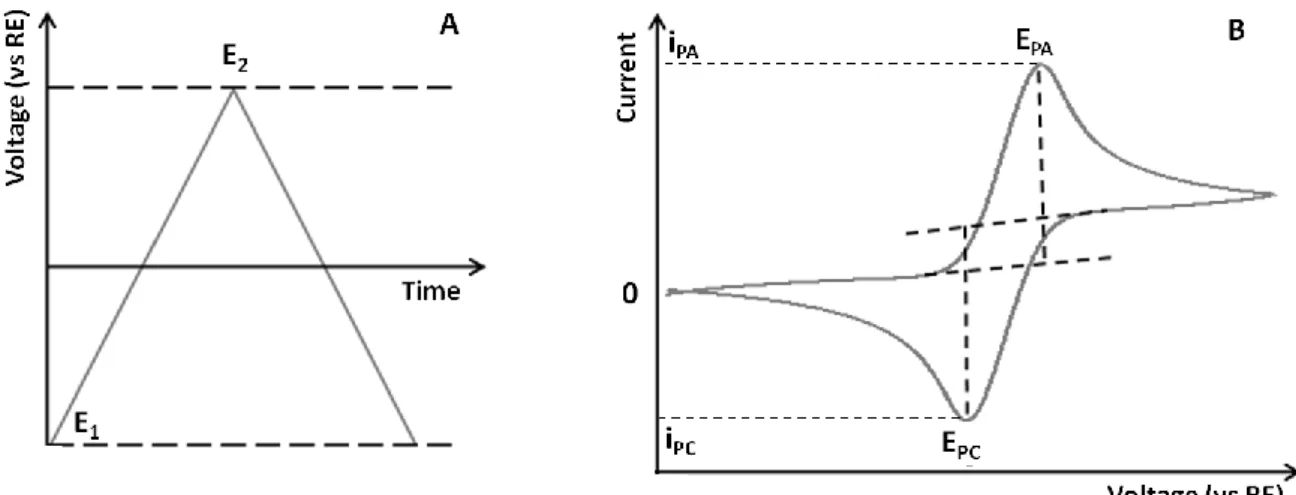 Figure  4.2 shows the principles for the generation of a cyclic voltammetric curve. A linearly  dependent  potential  (in  relation  to  the  reference  electrode)  is  imposed  on  the  working  electrode, being switched between two potential values ( E 1