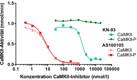 Abbildung 1-6: AS100105 inhibiert die CaMKII unabhängig vom Autophosphorylierungszustand 