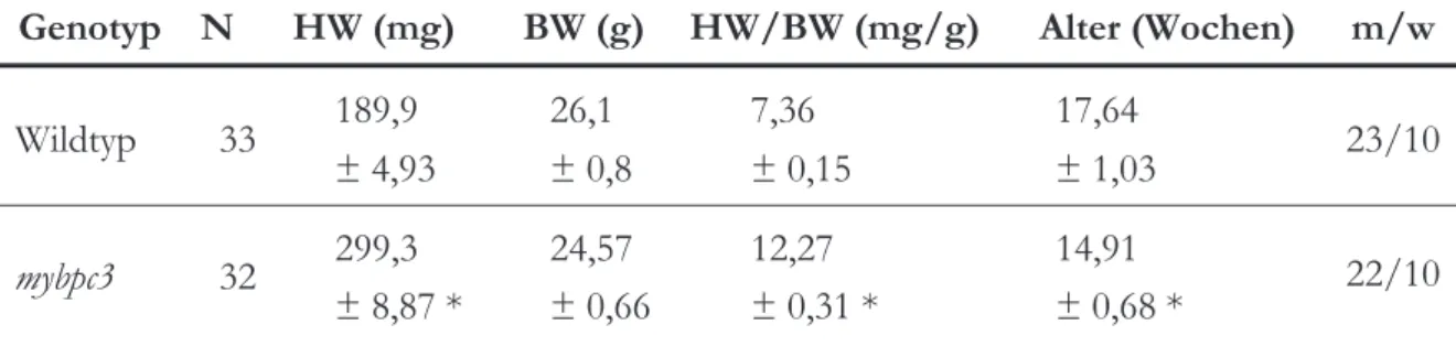 Tabelle    6    -    Merkmale  der  untersuchten  Gruppe.  Dargestellt  sind  Anzahl  (N)  der  untersuchten  Mäuse  mit  jeweiligem  Genotyp  (Wildtyp/mybpc3  KI-Mausmodell)
