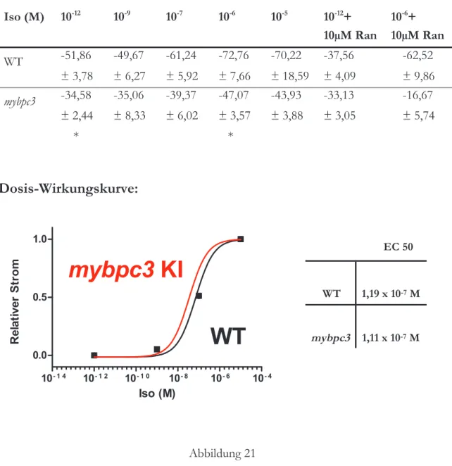 Tabelle  7  -  Mittelwerte des Späten Natriumstroms (AmsF -1 ) in Abhängigkeit von der  Isoproterenolkonzentration