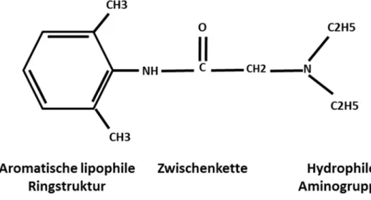 Abbildung 1-1. Strukturchemischer Aufbau der Lokalanästhetika am Beispiel des Lokalanästhetikums Lidocain