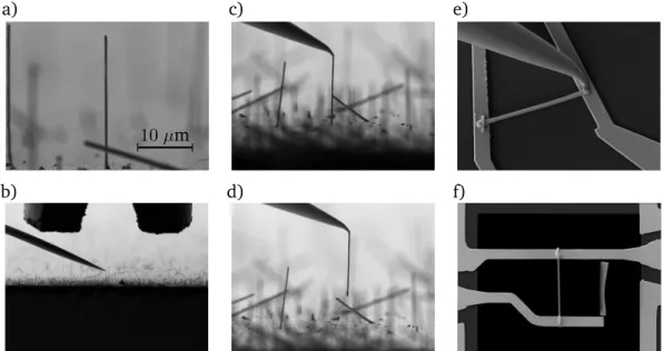 Figure 3.3: SEM images of the sample preparation process using a SEM/FIB dual beam system with integrated GIS and nanomanipulator