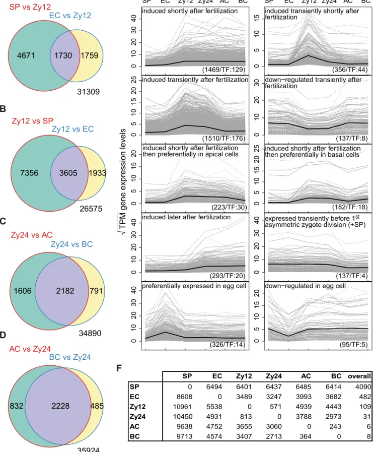 Figure 4. Gene expression dynamics in maize gametes, zygotes, and two-celled pro-embryo cells