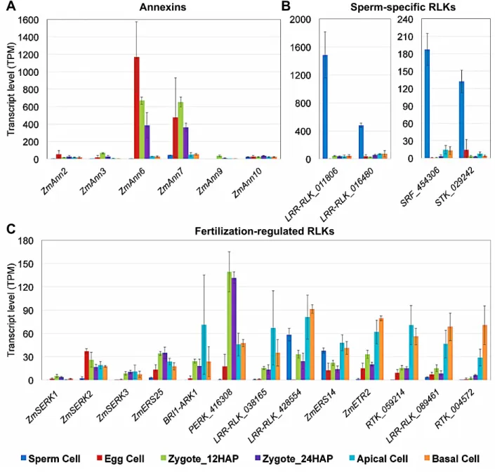 Figure 8. Expression analysis of selected maize genes with putative roles in signaling during gamete 