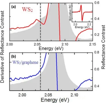 Figure 1 shows the room temperature reflectance contrast spectra for a heterostructure composed of monolayer WS 2 and bilayer graphene