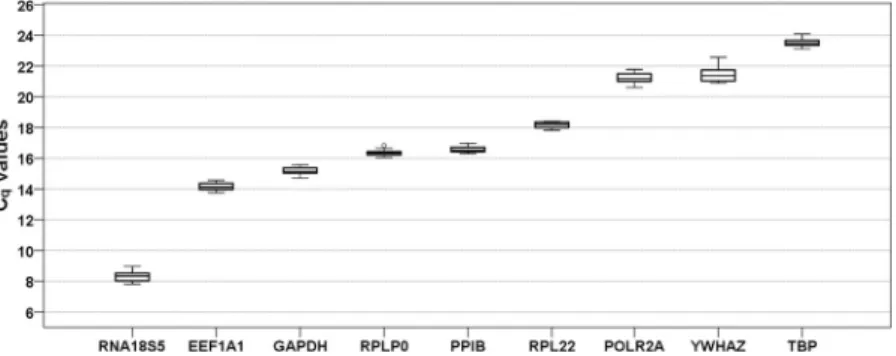 Figure 2.  Expression levels of candidate reference genes across all experimental groups (n  =  18)