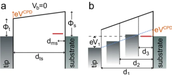 FIG. 5. (a) Illustration of the potential drop in the junction without bias volt- volt-age resulting from a finite contact potential difference (CPD), which results from a difference of the work function of the tip Φ t and sample Φ s 