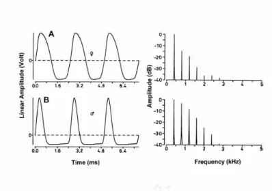 Figure  1.  Waveforms  (A,B;  left)  of  electric  organ  discharges  in  Eigenmannia,  with  their  associated  Fourier amplitude spectra (to their right)