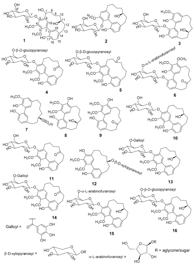 Figure 1. Structures of the isolated diarylheptanoids from methanolic extract of Morella salicifolia bark