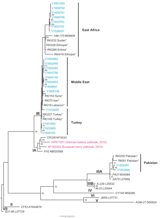 Figure 5 Phylogenetic tree of HAV samples (asylum seekers, Germany, September 2015 to March 2016) analysed by molecular typing of the VP1/P2A region