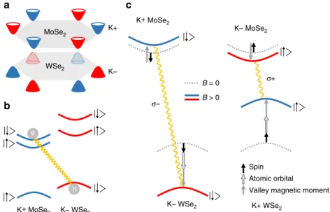 Figure 3a schematically depicts the conﬁguration of the Brillouin zones for interlayer excitons in an AB-stacked WSe 2 /MoSe 2