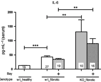 Fig. 7. Effect of BAY on the IL-6 levels in the serum of wt- and cGKI-KO-mice. The IL-6 levels in serum of both treated and untreated cGKI-KO-mice were significantly higher than in corresponding wt-mice