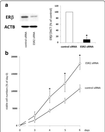 Fig. 3 Effect of an ER β knockdown on proliferation of OAW-42 cells. a: