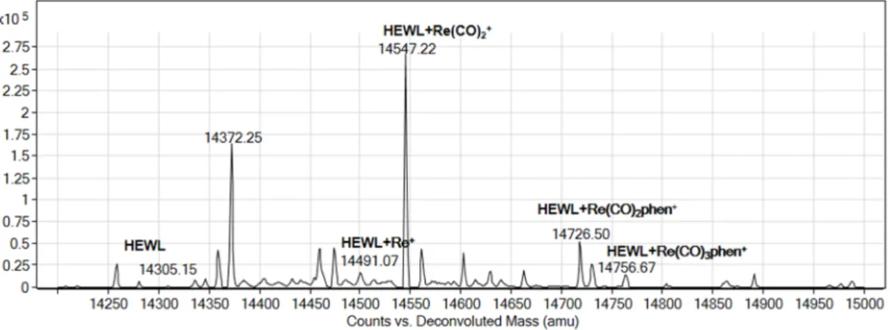 Figure 9. Deconvoluted electrospray ionization mass spectrometry (ESI-MS) spectra of HEWL (1 × 10 −4  M)  incubated for 24 h at room temperature in the presence of compound 3