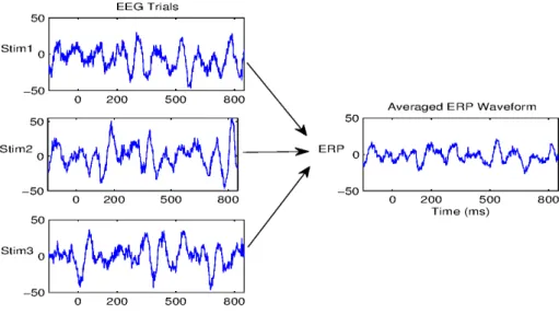 Figure 2.4 presents an example of ERP of time-locked EEG signals which are related to a visual stimulus