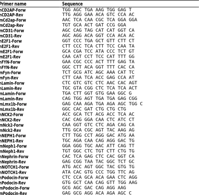 Tab. 3.4: Primer for detection of long transcripts in human (h) and murine (m) samples by qPCR 