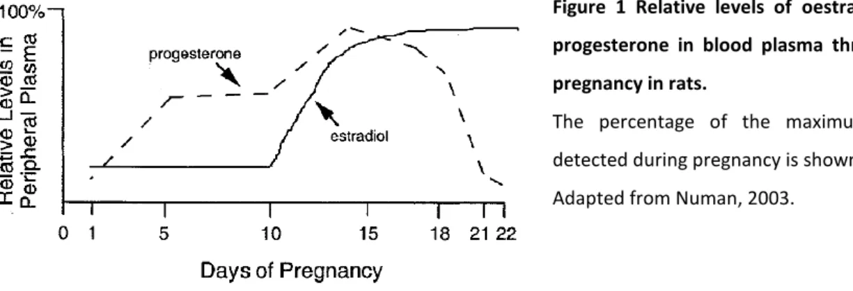 Figure  1  Relative  levels  of  oestradiol  and  progesterone  in  blood  plasma  throughout  pregnancy in rats