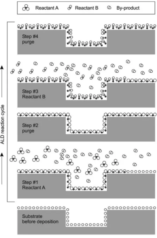 Figure  9  Schematic  illustration  of  one  ALD  reaction  cycle.  Reprinted  from  Reference  [30], with the permission of AIP Publishing