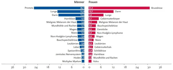 Abb. 1 Inzidenzraten der häufigsten Tumorentitäten in Deutschland im Jahr 2010. [entnommen aus Kaatsch et al