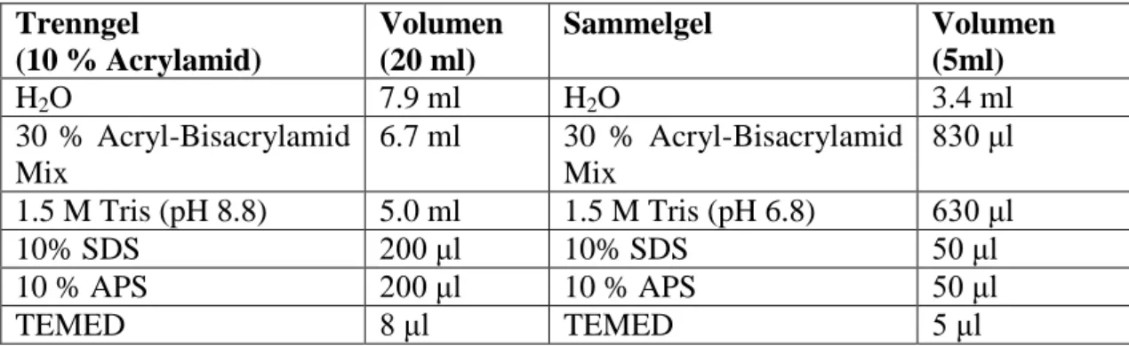 Tabelle 2. Rezeptur eines SDS-Polyacrylamidgels 