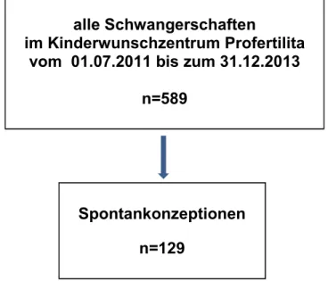 Abbildung 2.2: Anteil der Spontankonzeptionen unter allen Schwangerschaften im  Kinderwunschzentrum Profertilita vom  01.07.2011 bis zum 31.12.2013 