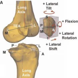 Figure 8: Coordinate systems used to quantify the clinical motions of the patella   {Nha 2008 #41} 
