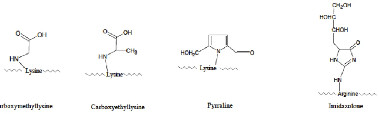 Abb. 4: Exemplarisch chemische Strukturformeln einiger nicht-fluoreszierender,   nicht-quervernetzender AGEs