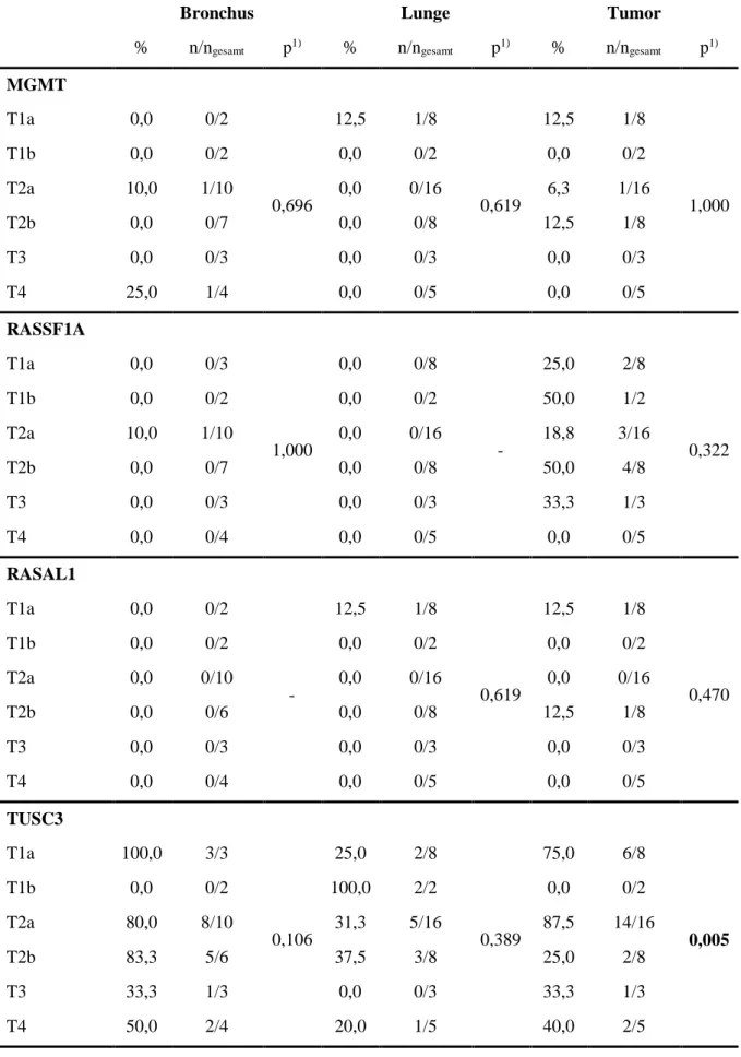 Tabelle 5.17  Methylierungsstatus und Primärtumor T, detailliert 
