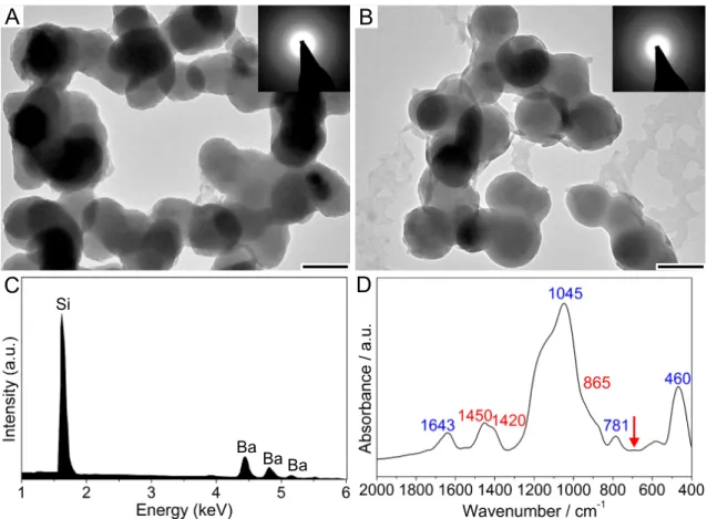 Figure 3.6. A, B) TEM micrographs of nanoparticles isolated 1 min after mixing from samples containing 920 (A) and 1870 (B) ppm SiO 2 (Scale bars: 100 nm)
