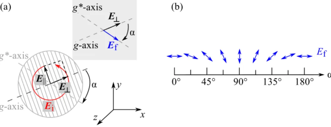 Figure 3.5: (a) shows a schematic sketch of a grating with initial circularly polarized electric field E i and the final linear polarization state of the electric field E f on the sample surface
