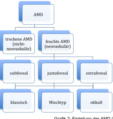 Grafik 2: Einteilung der AMD (2) 