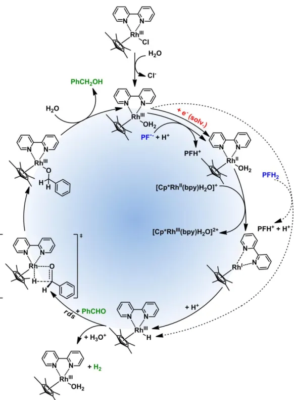 Figure 4: Proposed rhodium catalytic cycle, rds = rate determining step. 
