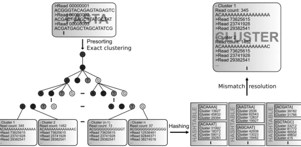 Figure 2: Passage workﬂow: Reads for one sample (after optional presorting) are used to build a trie, resulting in a clustering of perfectly matching sequences.